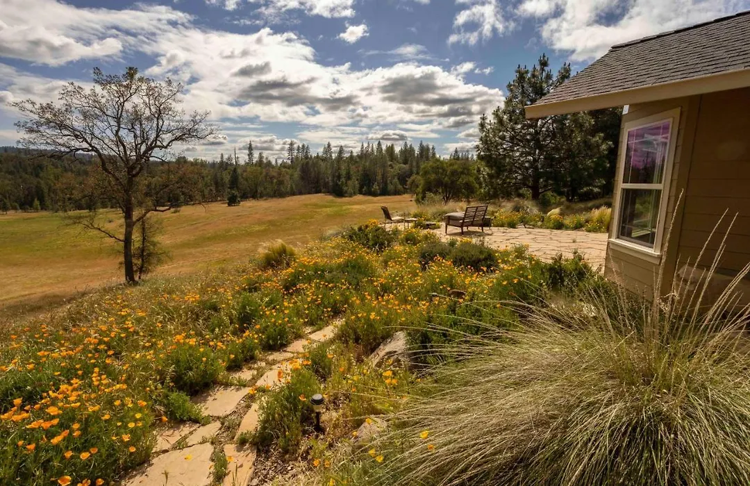Red Tail Ranch-1